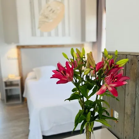 Hotell Misiana Tarifa